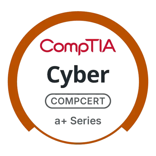 cyber