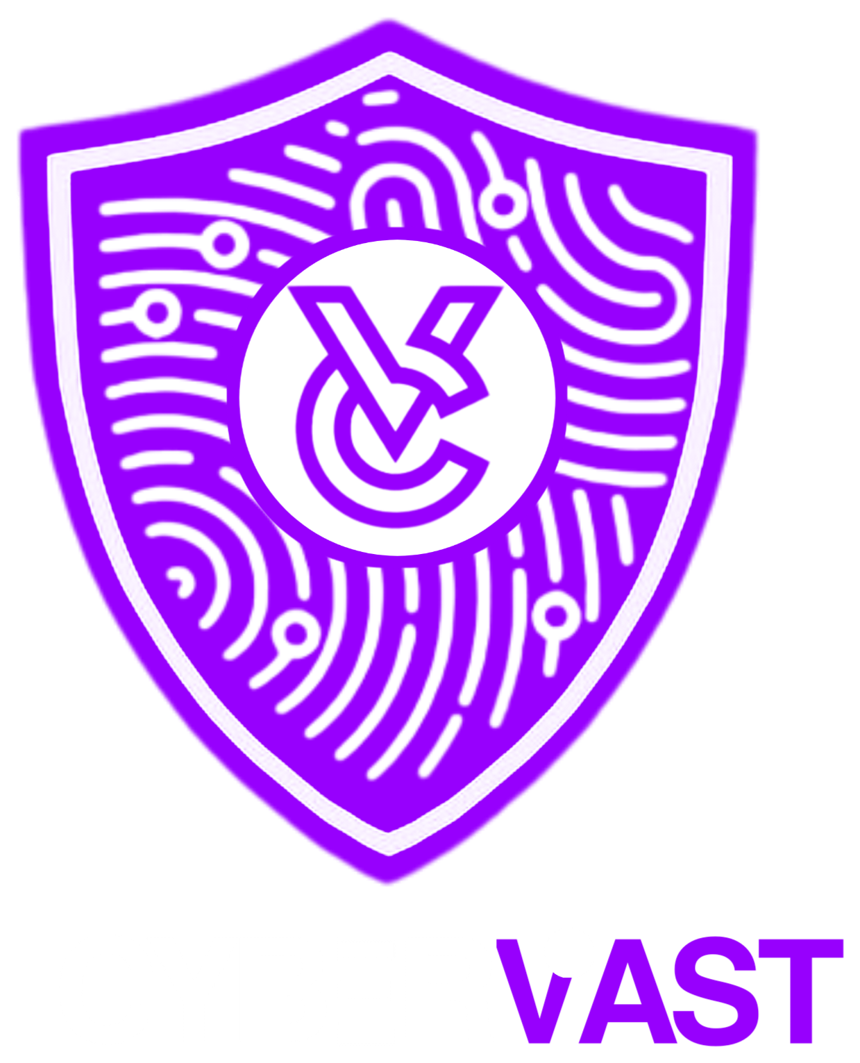Cybervast