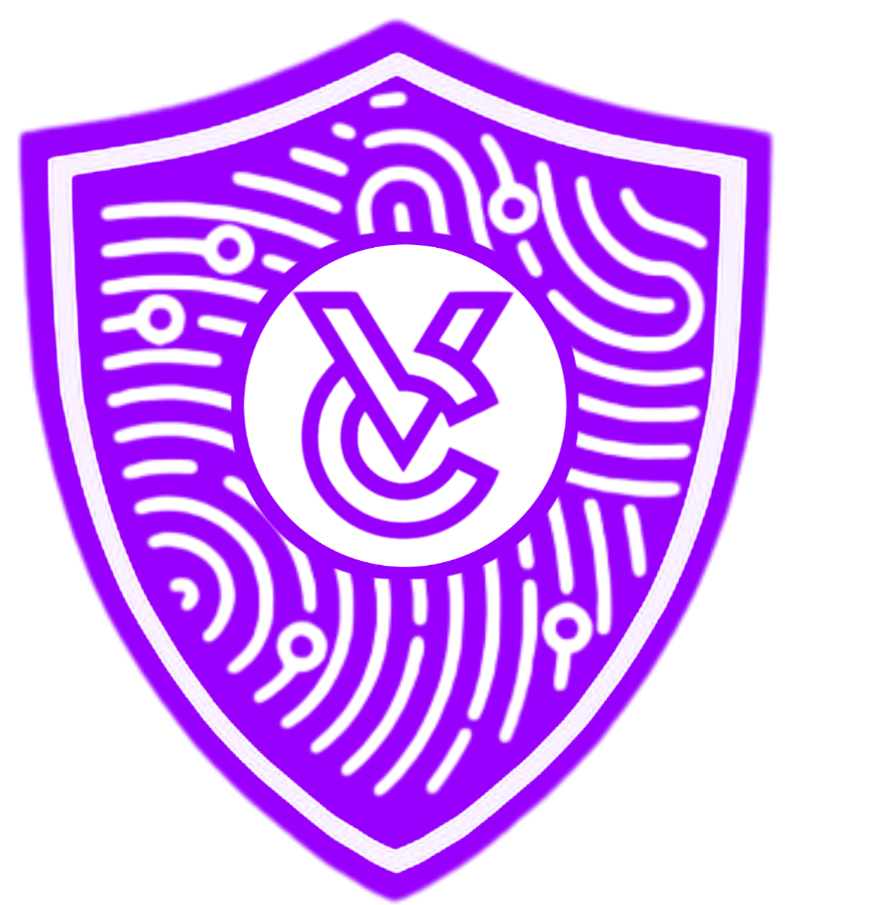 Cybervast logo